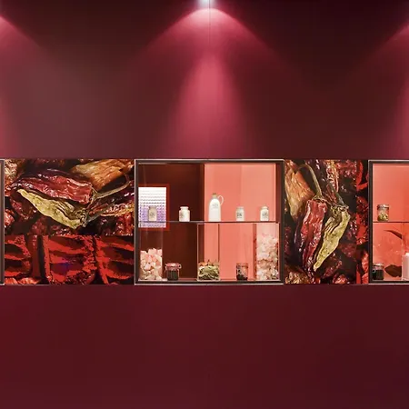 Mercure Duesseldorf Neuss