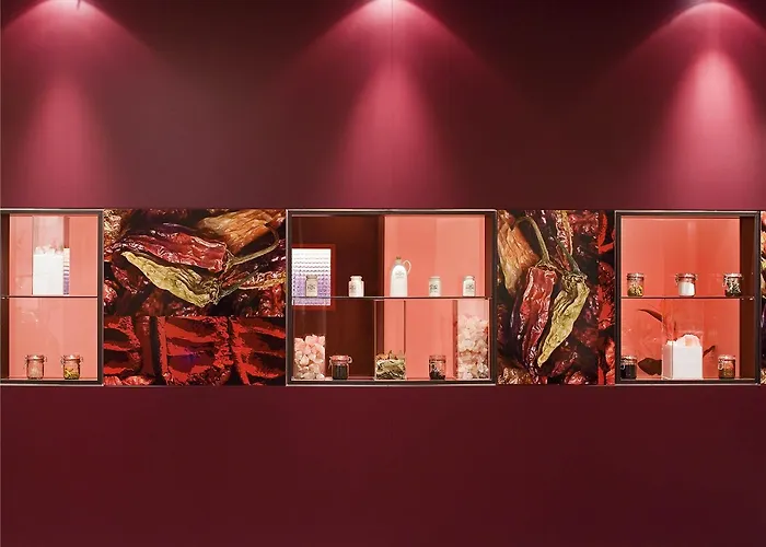 酒店 杜塞尔多夫诺伊斯美居酒店 诺伊斯